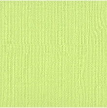 Bazzill Cardstock 12X12 25/Pkg MONO - Limeade