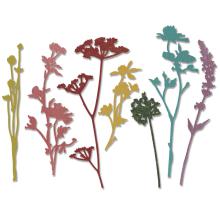 Tim Holtz Sizzix Thinlits Dies 7/Pkg - Wildflowers