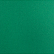 Bazzill Mono Adhesive Cardstock 12X12 - Bazzill Green UTGENDE