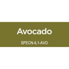 Spectrum Noir Illustrator 1/Pkg - Avocado CG4