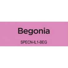 Spectrum Noir Illustrator 1/Pkg - Begonia BP3
