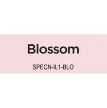 Spectrum Noir Illustrator 1/Pkg - Blossom PP1
