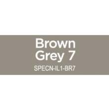 Spectrum Noir Illustrator 1/Pkg - Brown Grey 7 BG7