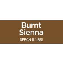 Spectrum Noir Illustrator 1/Pkg - Burnt Sienna GB10