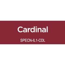 Spectrum Noir Illustrator 1/Pkg - Cardinal DR5