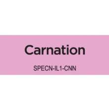 Spectrum Noir Illustrator 1/Pkg - Carnation BP2