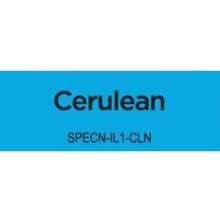 Spectrum Noir Illustrator 1/Pkg - Cerulean IB3