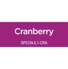 Spectrum Noir Illustrator 1/Pkg - Cranberry BP7