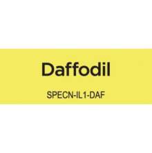 Spectrum Noir Illustrator 1/Pkg - Daffodil CT1