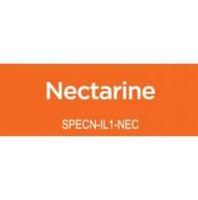 Spectrum Noir Illustrator 1/Pkg - Nectarine OR2