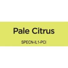 Spectrum Noir Illustrator 1/Pkg - Pale Citrus CG1