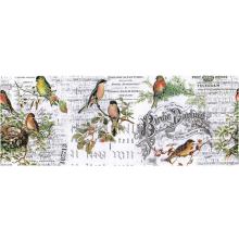 Tim Holtz Idea-Ology Collage Paper 6yds - Aviary