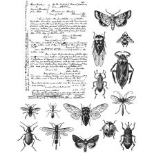 Tim Holtz Cling Stamps 7X8.5 - Entomology