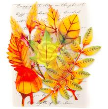 Prima Printed Fabric Leaf Embellishments 12/Pkg - Autumn Maple