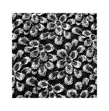 Wendy Vecchi Background Stamp - Floral Lace