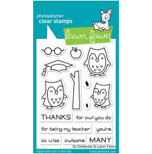 Lawn Fawn Clear Stamps 3X4 - So Owlsome LF1757