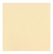 Bazzill Cardstock 12X12 25/Pkg Smoothies - Pigment