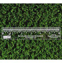 Lawn Fawn Clear Ruler - 6inch LF1998