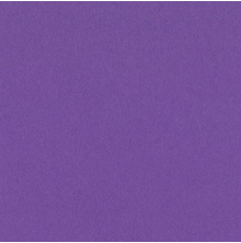 Bazzill Cardstock 12X12 25/Pkg Smoothies - Grape Delight