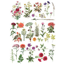 Prima Re-Design Decor Transfers - Floral Collection